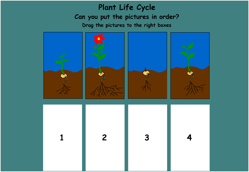 Fruits and Vegetables